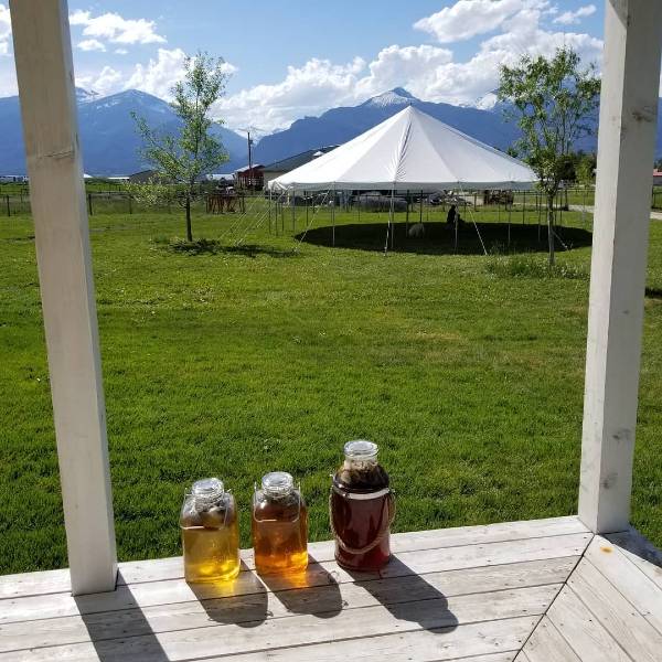 Jars of Jam on a Porch facing an open yard
